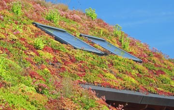 Poundbury living roof systems