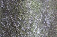 Poundbury fibreglass roof work