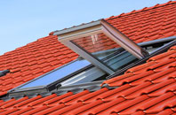 Poundbury roof window